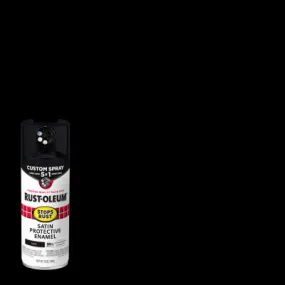 12 OZ SATBLK Spray Paint