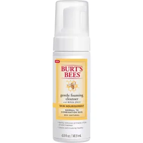 Burt's Bees Skin Nourishment Gentle Foaming Cleanser