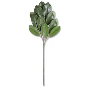 GREEN MAGNOLIA SPRAY
