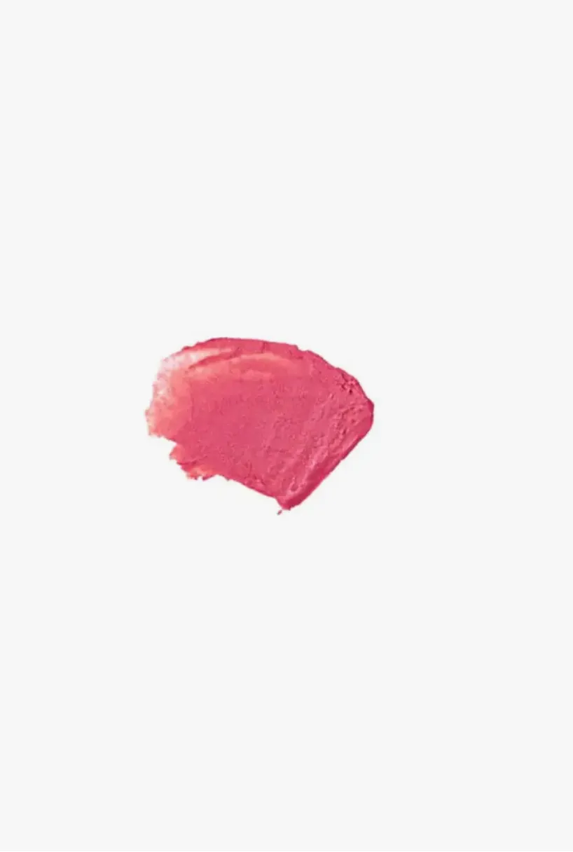 Lip Tint Bien Fait