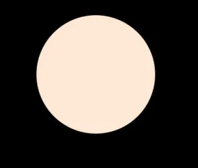 N25 COOL NEUTRAL DUAL POWDER