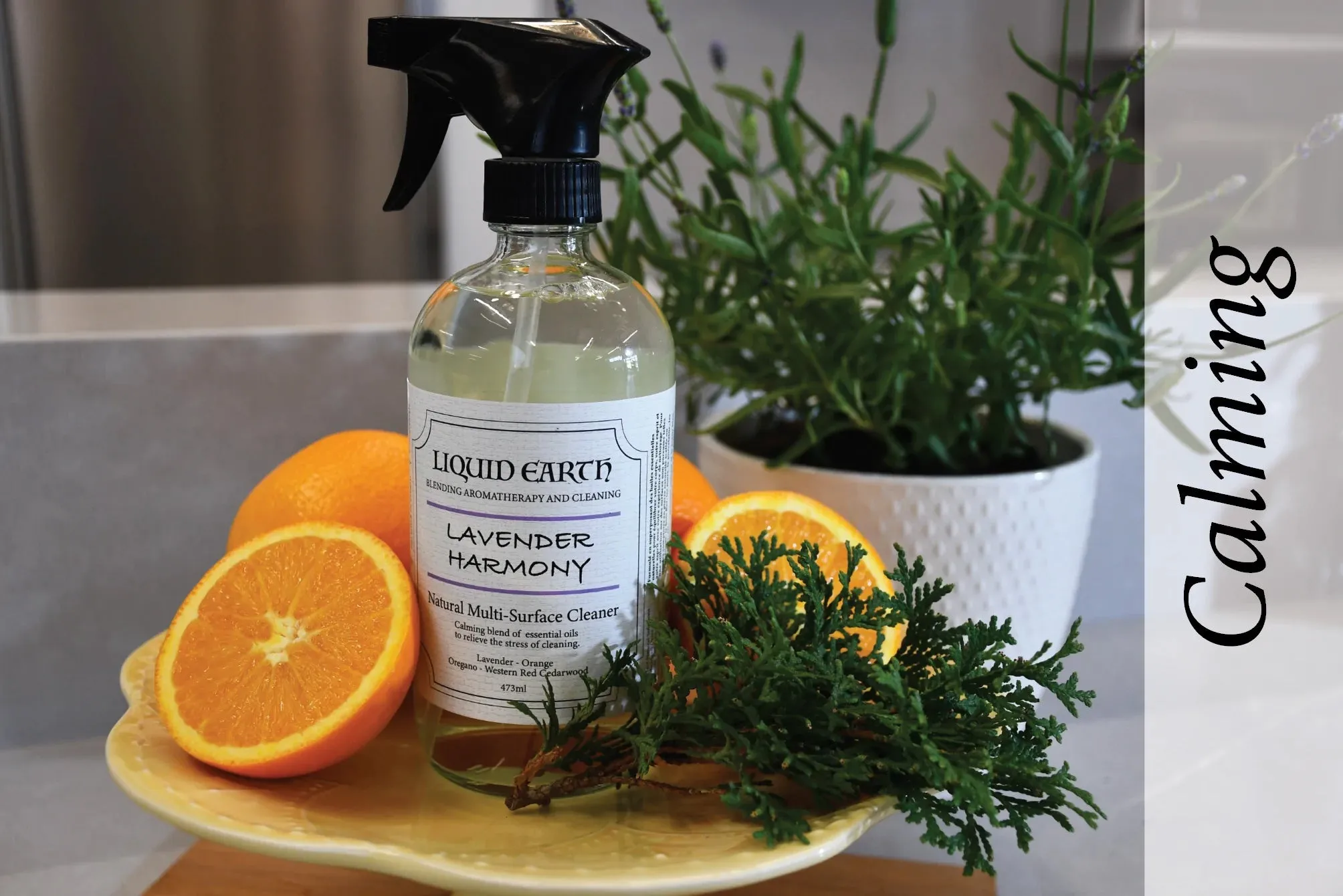 Natural Cleaning - Lavender Harmony Multi-Surface Cleaner