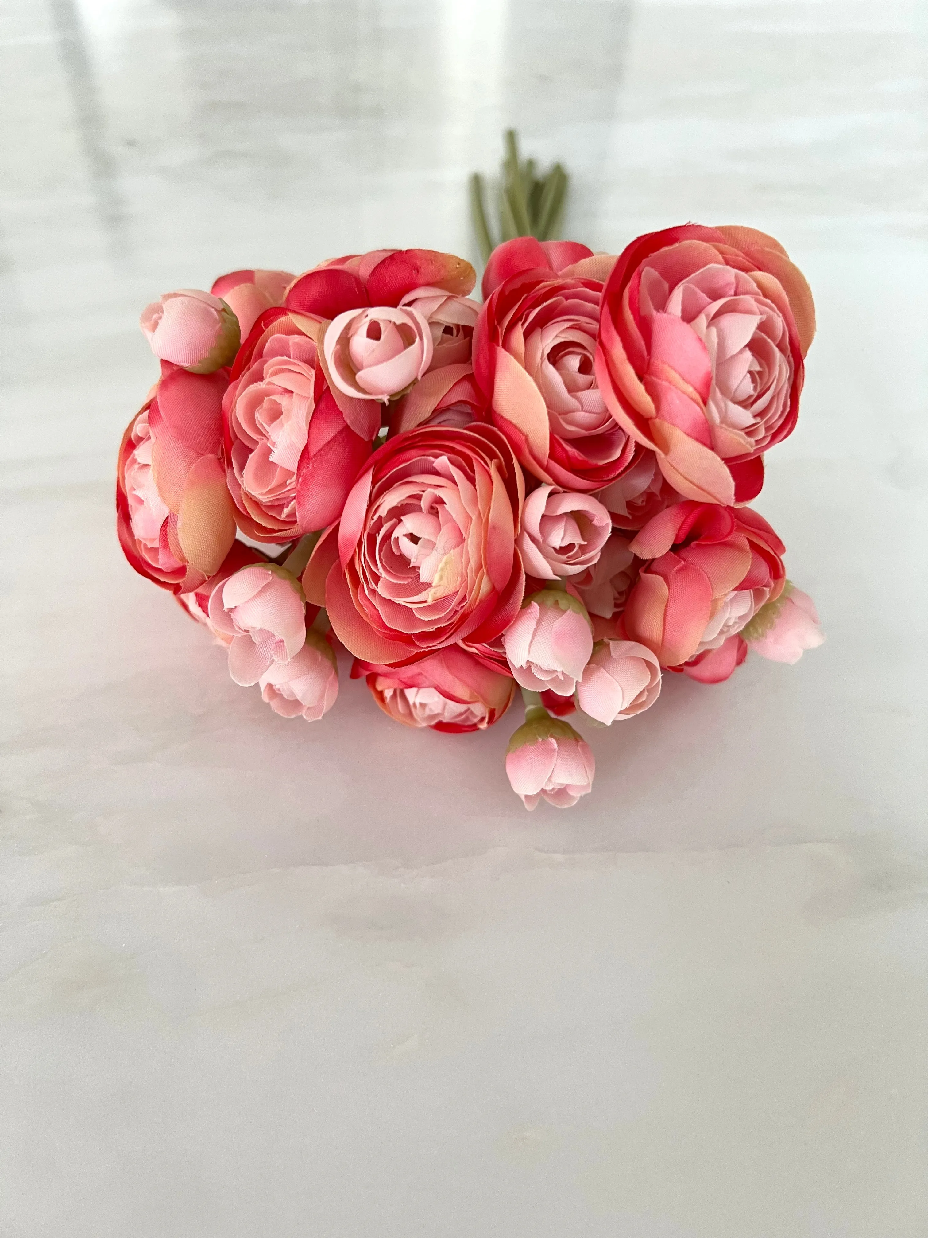 Parisian Buttercup Light Pink Bundle 11”