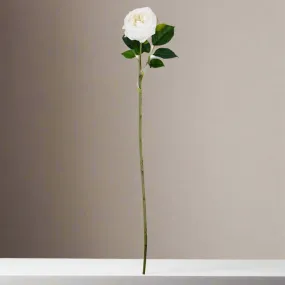 Real Touch Austin Rose White Stem 24"
