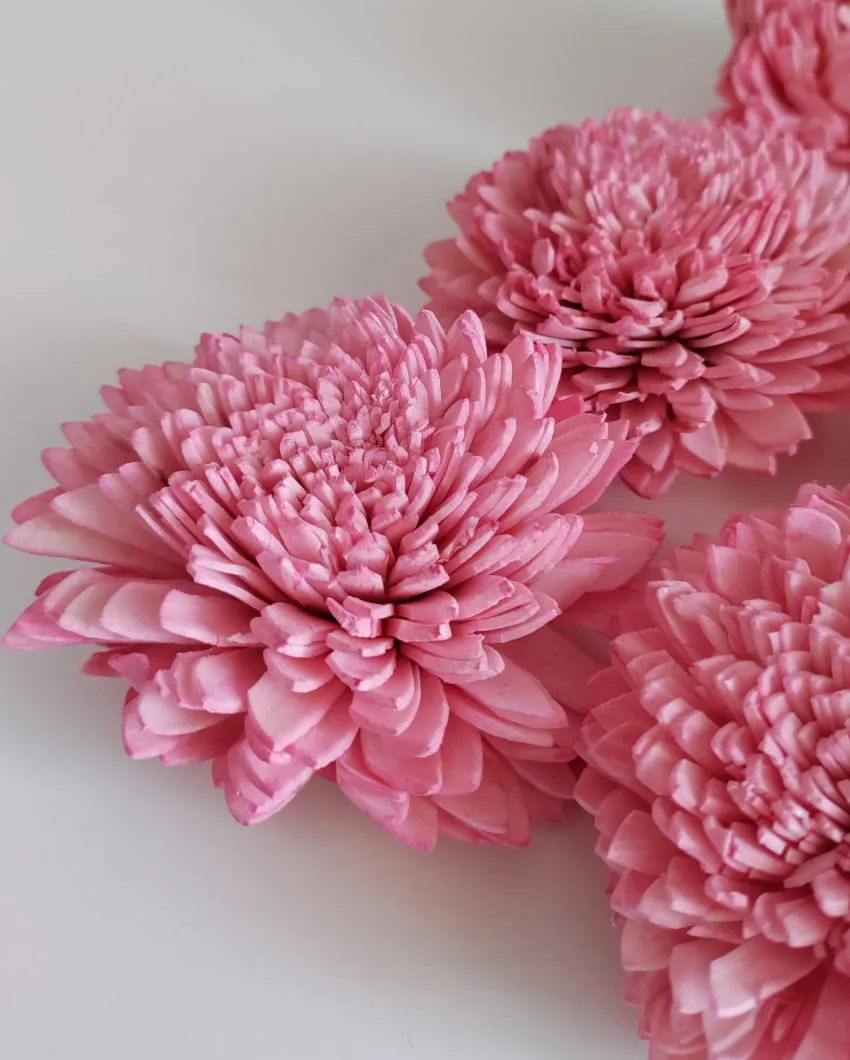 Zuri Sholapith DIY Flower Bunch | Vase Not Included | 11 Flower Heads