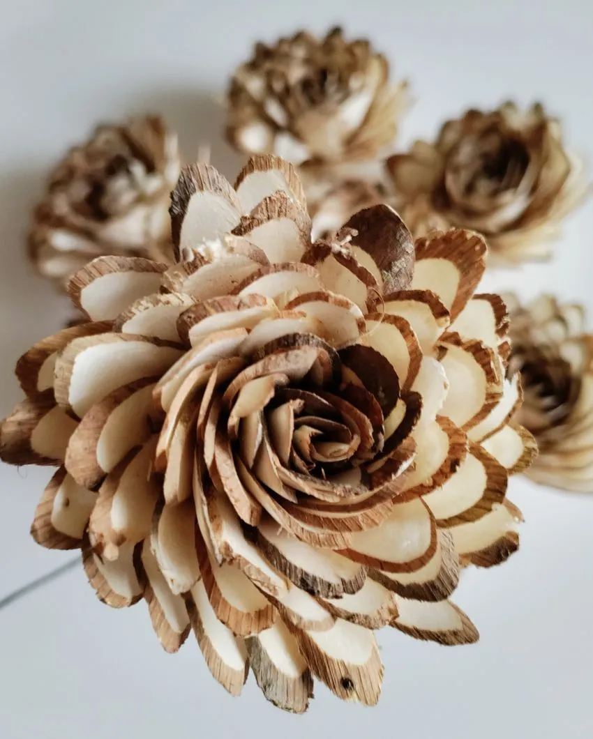 Zuri Sholapith DIY Flower Bunch | Vase Not Included | 11 Flower Heads