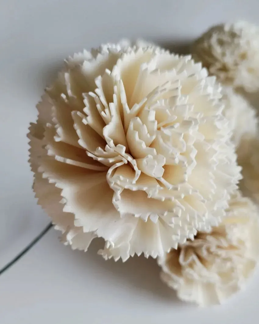 Zuri Sholapith DIY Flower Bunch | Vase Not Included | 11 Flower Heads