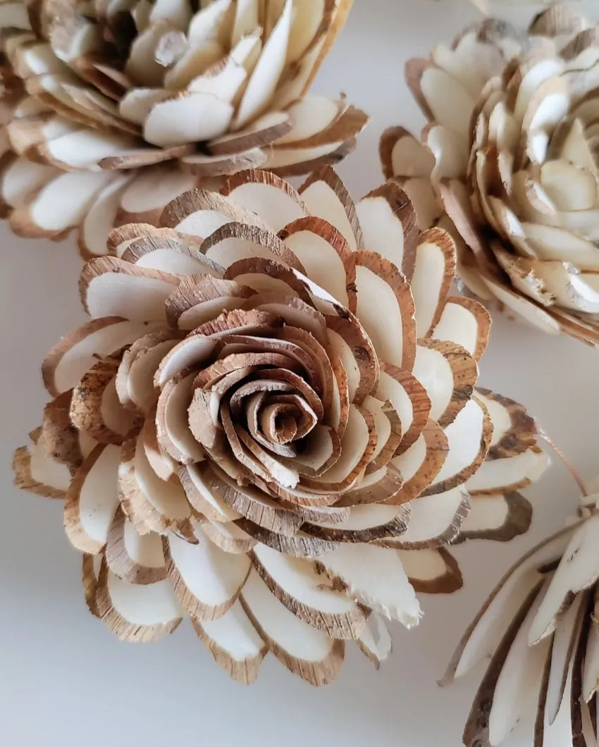 Zuri Sholapith DIY Flower Bunch | Vase Not Included | 11 Flower Heads
