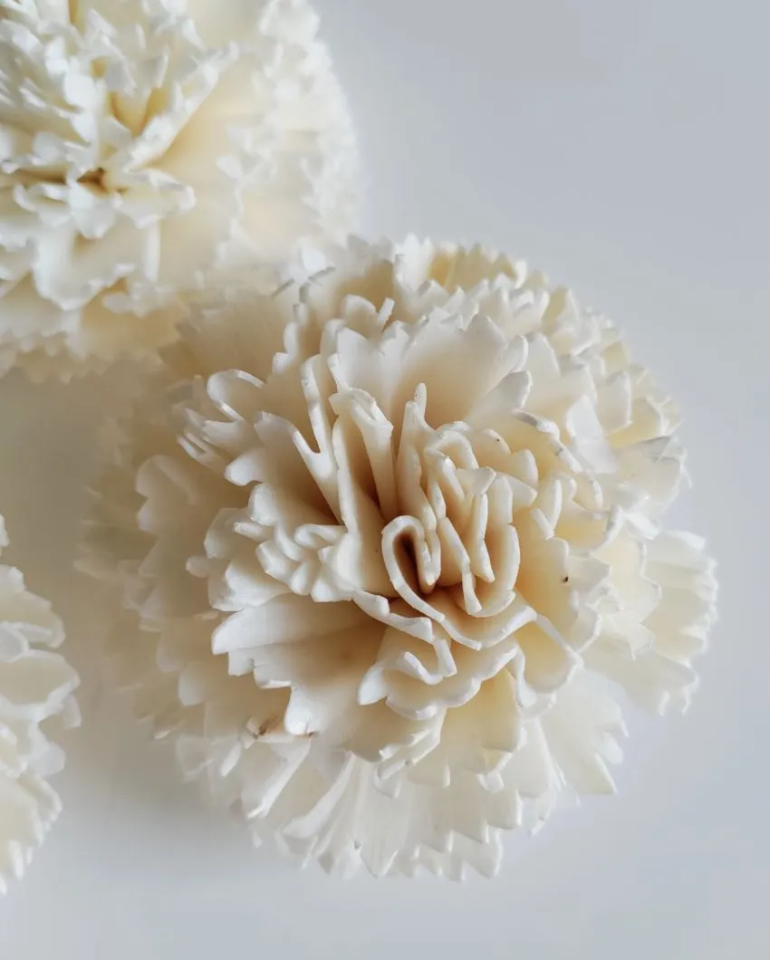 Zuri Sholapith DIY Flower Bunch | Vase Not Included | 11 Flower Heads