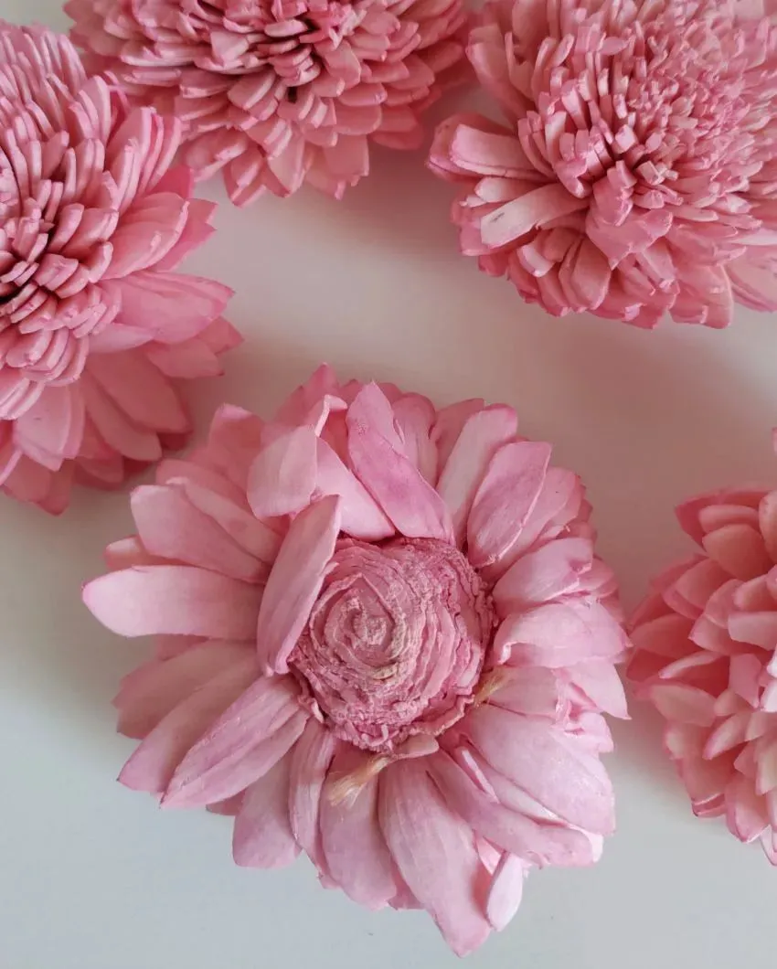 Zuri Sholapith DIY Flower Bunch | Vase Not Included | 11 Flower Heads