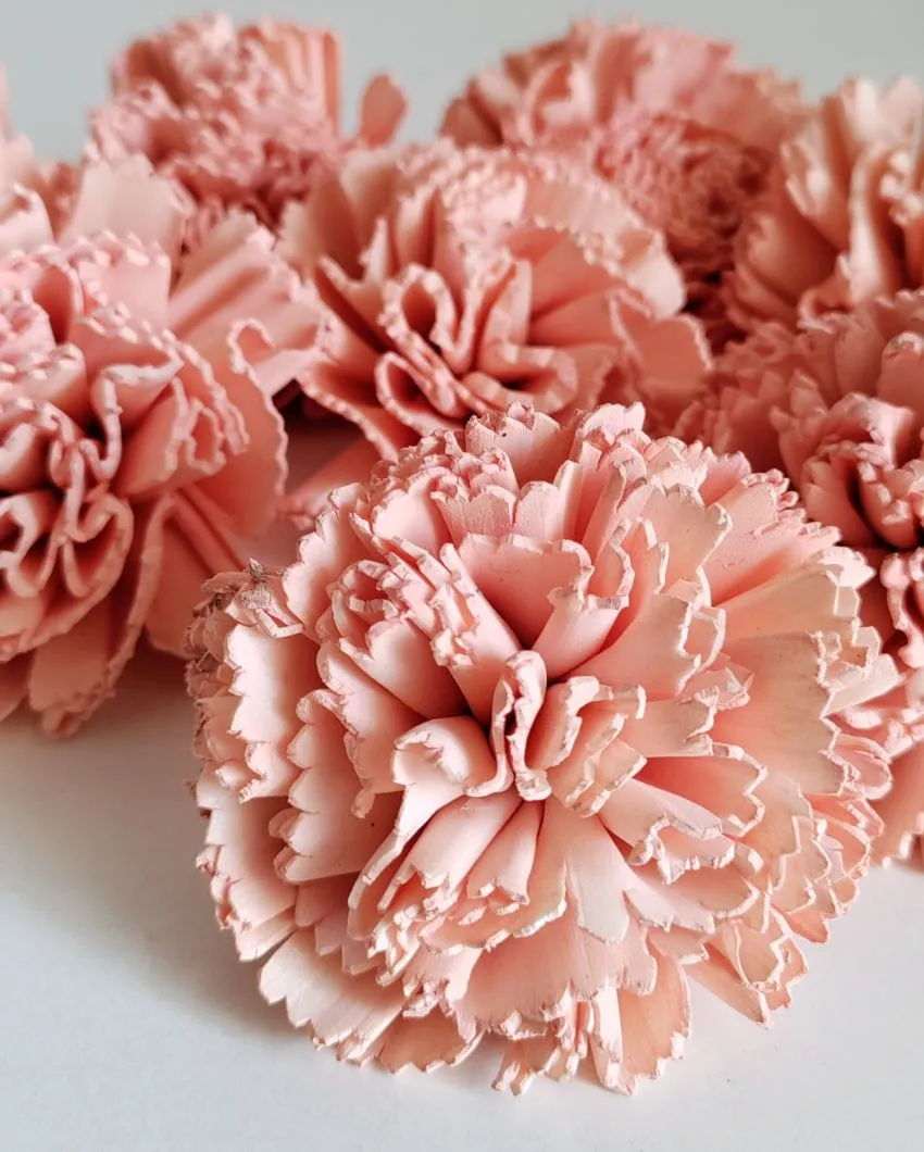 Zuri Sholapith DIY Flower Bunch | Vase Not Included | 11 Flower Heads