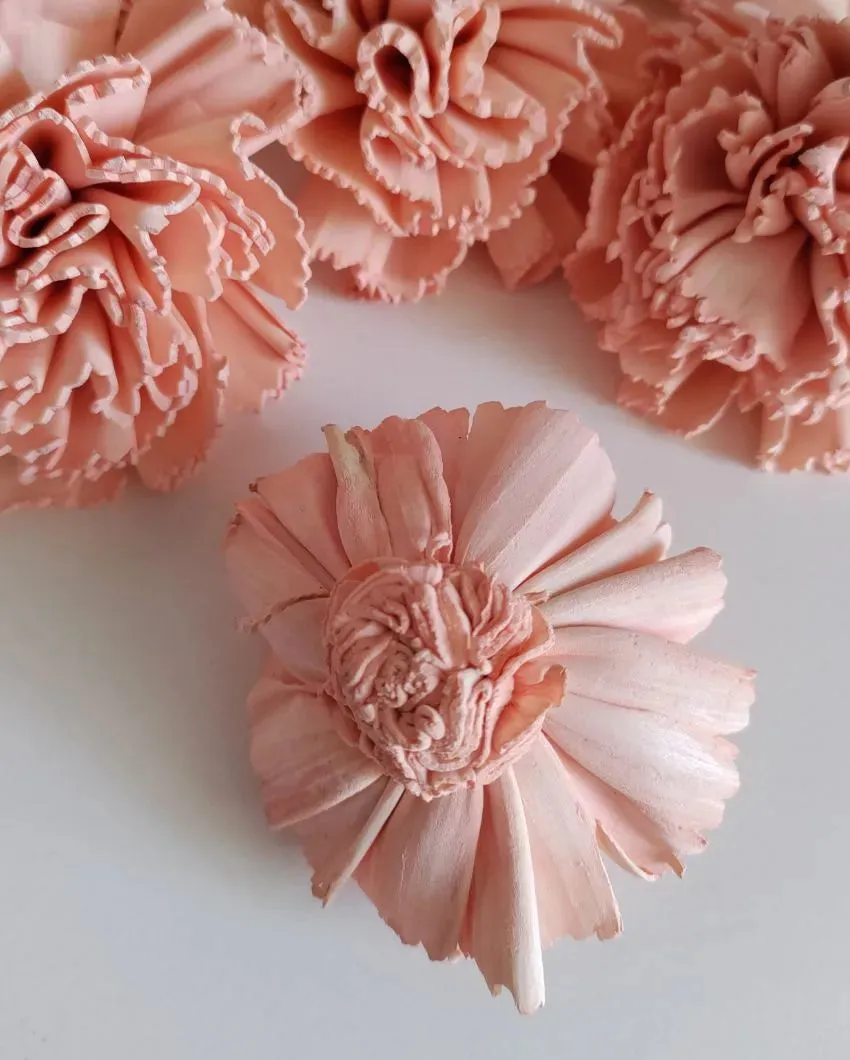 Zuri Sholapith DIY Flower Bunch | Vase Not Included | 11 Flower Heads