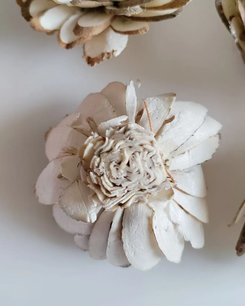 Zuri Sholapith DIY Flower Bunch | Vase Not Included | 11 Flower Heads