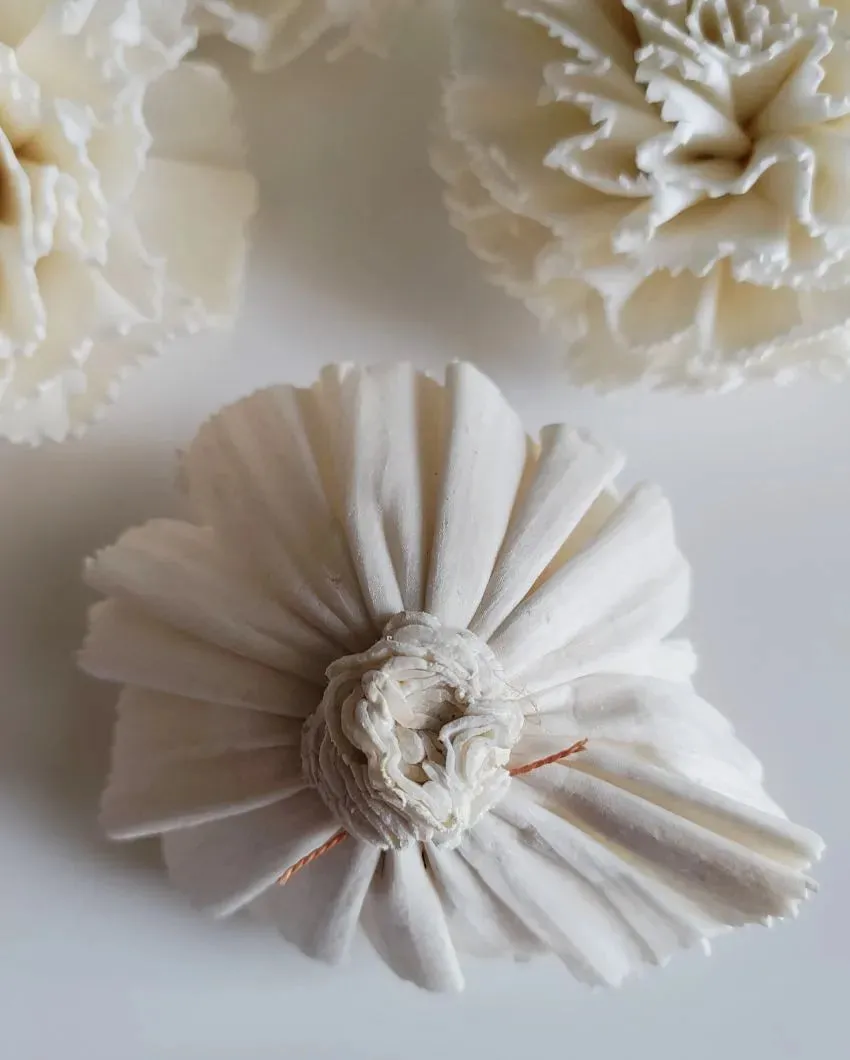 Zuri Sholapith DIY Flower Bunch | Vase Not Included | 11 Flower Heads