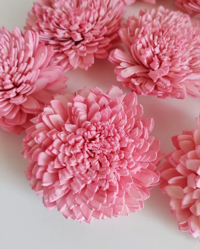 Zuri Sholapith DIY Flower Bunch | Vase Not Included | 11 Flower Heads