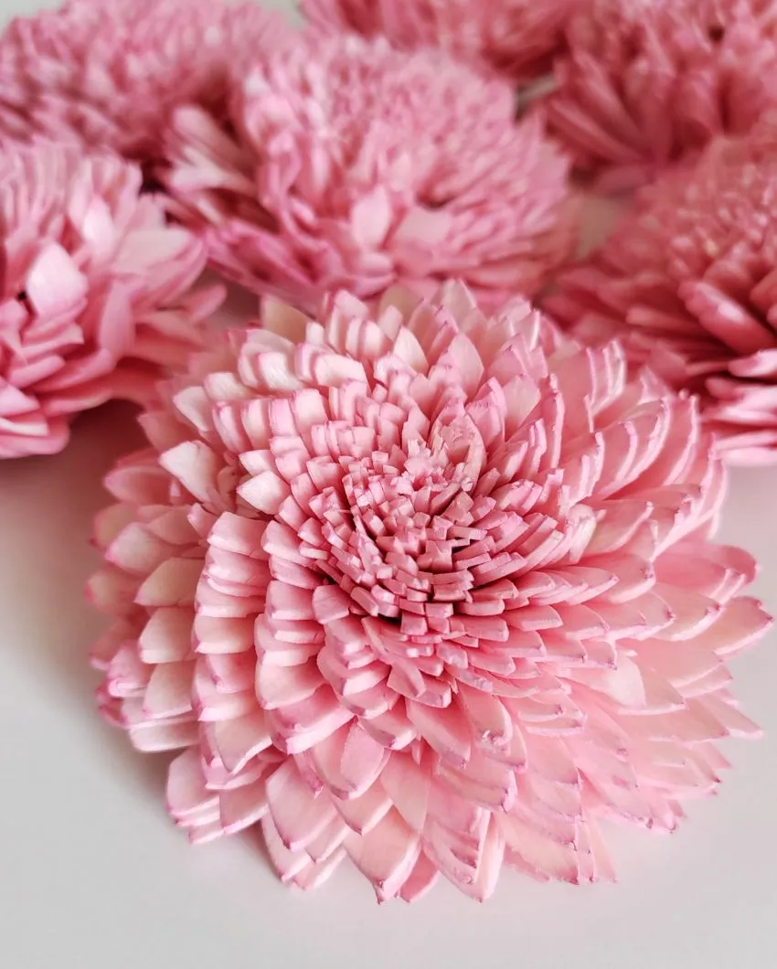 Zuri Sholapith DIY Flower Bunch | Vase Not Included | 11 Flower Heads
